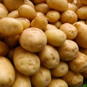 Patates Taze (kg)